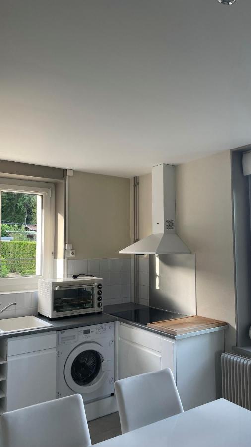 Appartement La Fourmi Verte Bruyeres Eksteriør billede